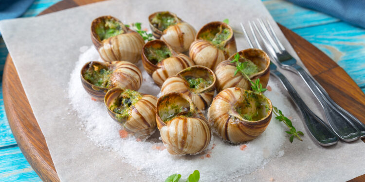 France cuisine, recipe for escargot, well-established, Escargot delicacy, France food famous