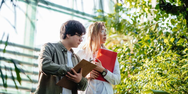 Environmental Studies in Europe, Europe Sustainable Education, green environment services, world-famous